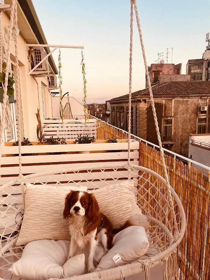 Nocleg ze śniadaniem Bed and Breakfast Finestra Sulla Sicilia Katania